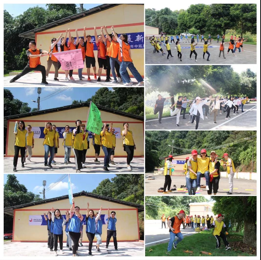 报关|运输|仓储