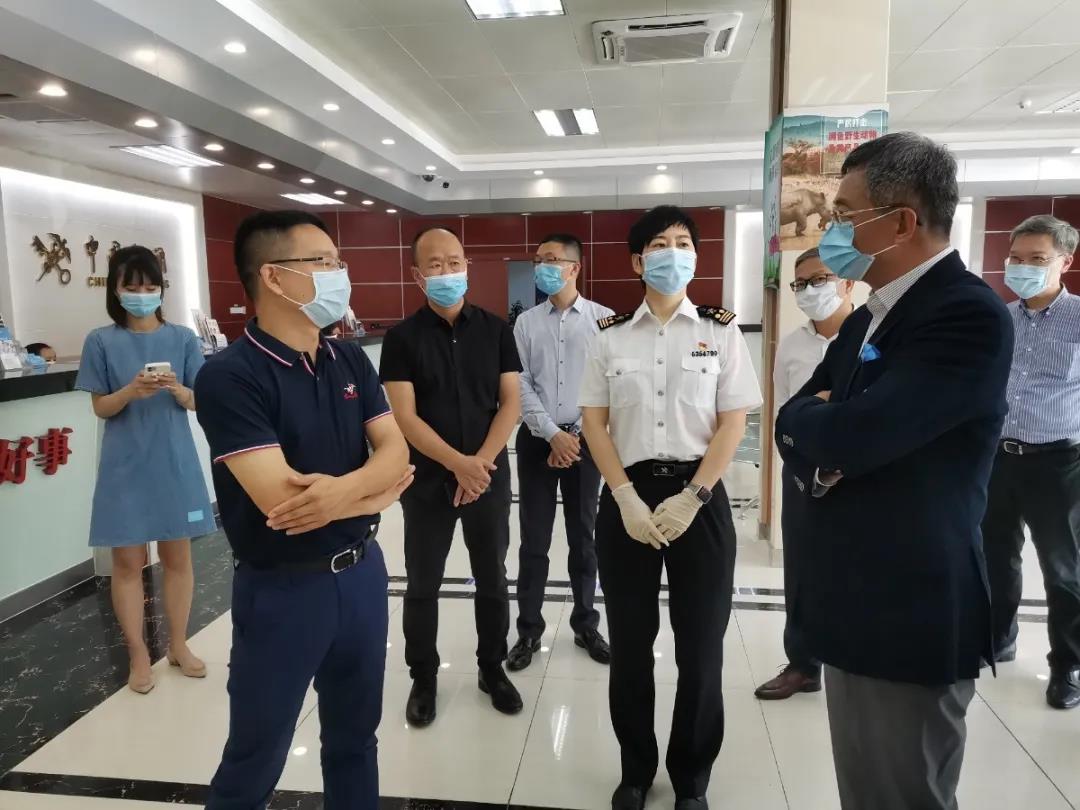 报关|运输|仓储 报关|运输|仓储