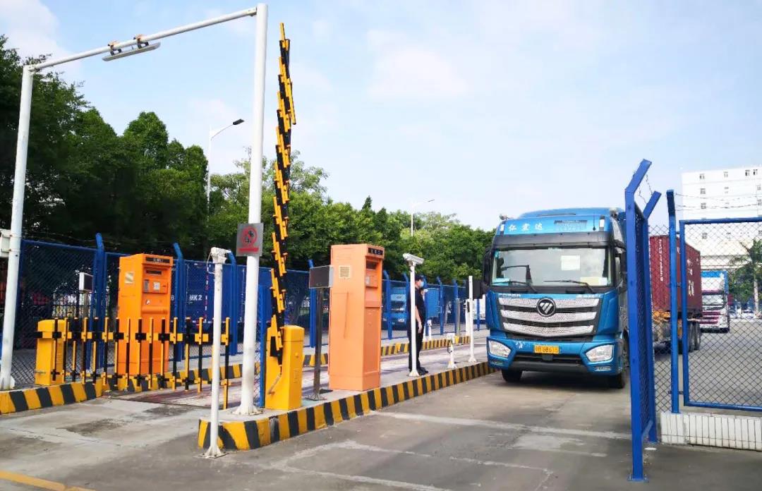 报关|运输|仓储