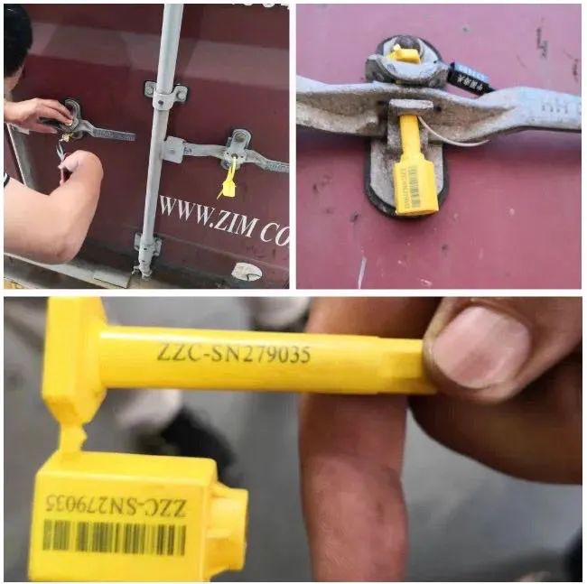 报关|运输|仓储